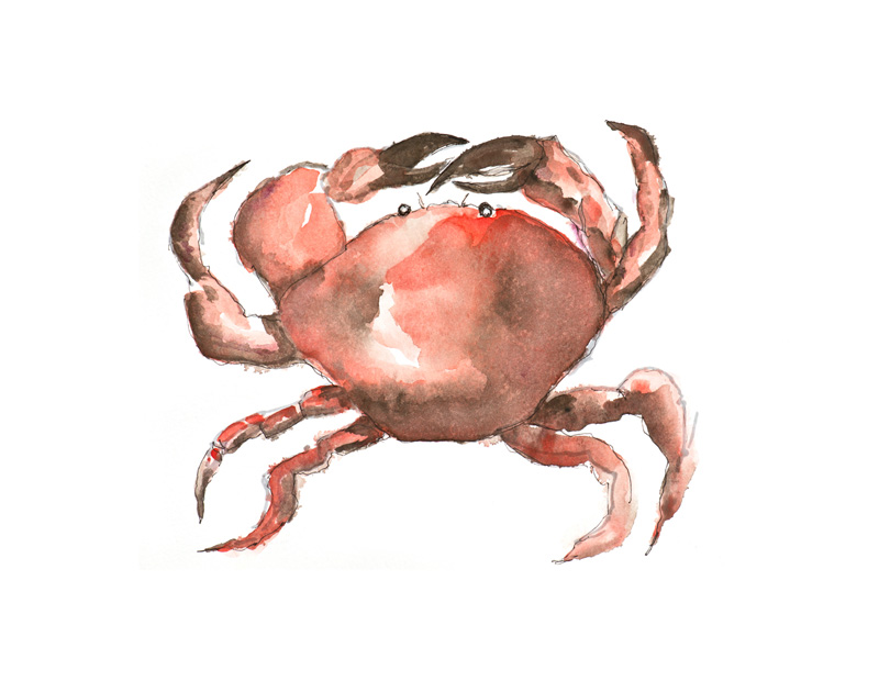Red Hot Crab