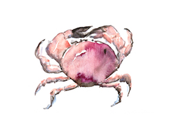 Purple Rain Crab by Paul Collins